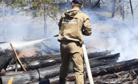 Три пожара за сутки ликвидировали в лесах Иркутской области 